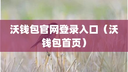 沃钱包官网登录入口(沃钱包首页)