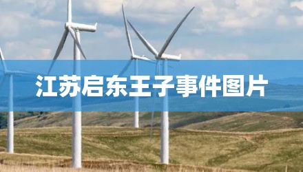 江苏启东王子事件图片