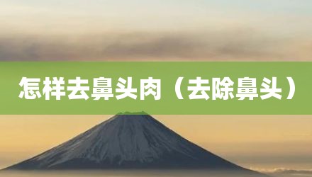 怎样去鼻头肉(去除鼻头)