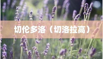 切伦多洛（切洛拉高）
