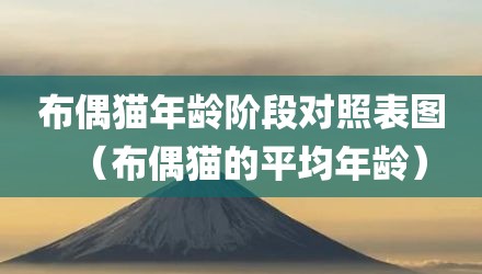 布偶猫年龄阶段对照表图（布偶猫的平均年龄）