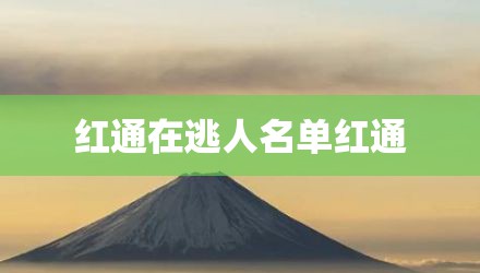 红通在逃人名单红通