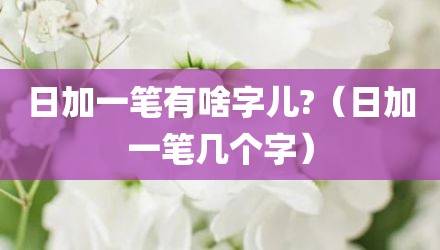 日加一笔有啥字儿?(日加一笔几个字)