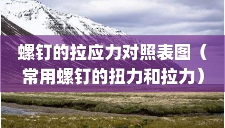 螺钉的拉应力对照表图（常用螺钉的扭力和拉力）