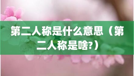 第二人称是什么意思（第二人称是啥?）