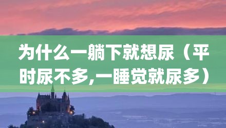 为什么一躺下就想尿（平时尿不多,一睡觉就尿多）