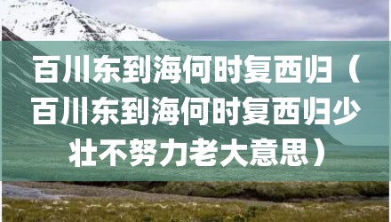 百川东到海何时复西归（百川东到海何时复西归少壮不努力老大意思）
