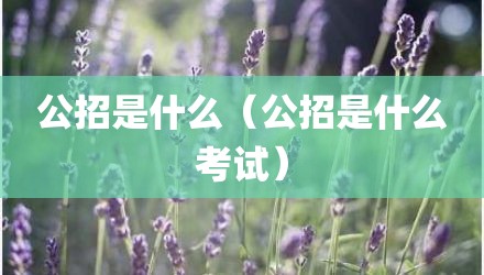 公招是什么（公招是什么考试）