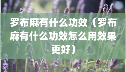 罗布麻有什么功效（罗布麻有什么功效怎么用效果更好）