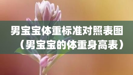 男宝宝体重标准对照表图（男宝宝的体重身高表）