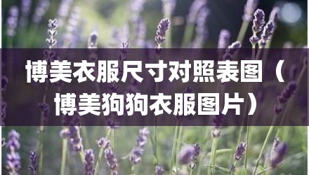 博美衣服尺寸对照表图（博美狗狗衣服图片）