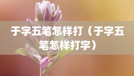于字五笔怎样打（于字五笔怎样打字）