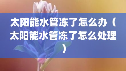 太阳能水管冻了怎么办（太阳能水管冻了怎么处理）