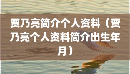 贾乃亮简介个人资料(贾乃亮个人资料简介出生年月)