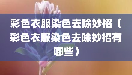 彩色衣服染色去除妙招（彩色衣服染色去除妙招有哪些）
