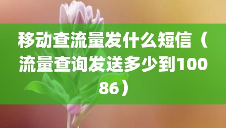 移动查流量发什么短信（流量查询发送多少到10086）