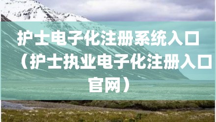 护士电子化注册系统入口（护士执业电子化注册入口官网）