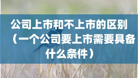 公司上市和不上市的区别（一个公司要上市需要具备什么条件）
