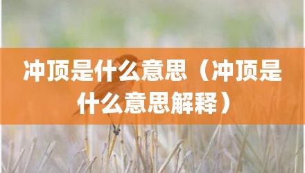 冲顶是什么意思（冲顶是什么意思解释）