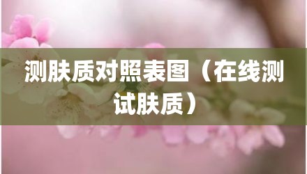 测肤质对照表图（在线测试肤质）