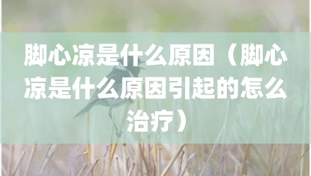 脚心凉是什么原因(脚心凉是什么原因引起的怎么治疗)