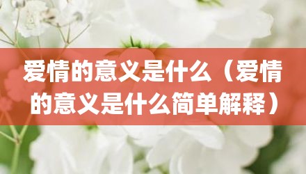 爱情的意义是什么（爱情的意义是什么简单解释）