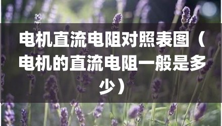 电机直流电阻对照表图（电机的直流电阻一般是多少）