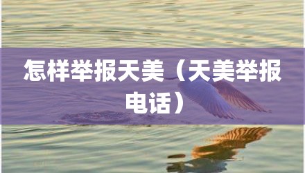 怎样举报天美（天美举报电话）