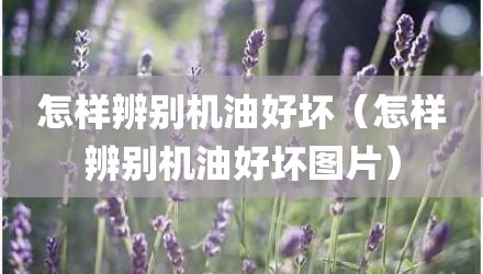 怎样辨别机油好坏（怎样辨别机油好坏图片）
