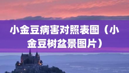 小金豆病害对照表图（小金豆树盆景图片）