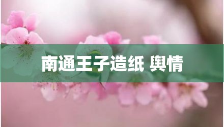 南通王子造纸 舆情