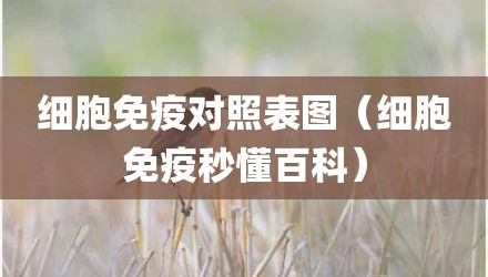 细胞免疫对照表图（细胞免疫秒懂百科）