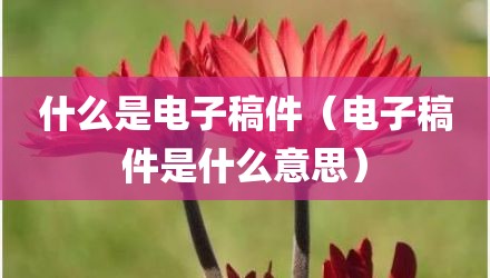 什么是电子稿件（电子稿件是什么意思）