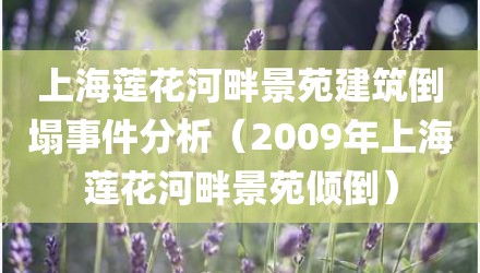 上海莲花河畔景苑建筑倒塌事件分析（2009年上海莲花河畔景苑倾倒）
