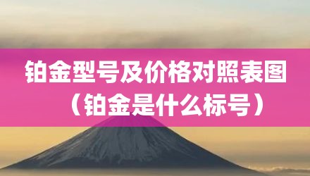 铂金型号及价格对照表图（铂金是什么标号）