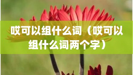 哎可以组什么词（哎可以组什么词两个字）