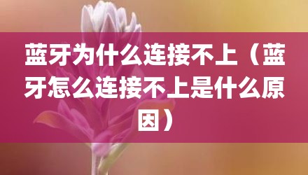 蓝牙为什么连接不上（蓝牙怎么连接不上是什么原因）