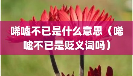 唏嘘不已是什么意思（唏嘘不已是贬义词吗）