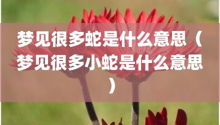 梦见很多蛇是什么意思（梦见很多小蛇是什么意思）