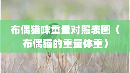 布偶猫咪重量对照表图（布偶猫的重量体重）