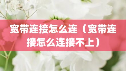 宽带连接怎么连（宽带连接怎么连接不上）