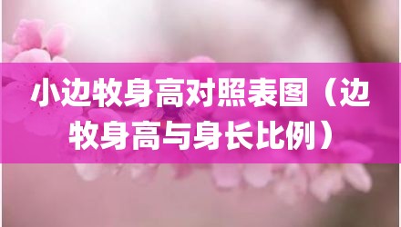 小边牧身高对照表图（边牧身高与身长比例）