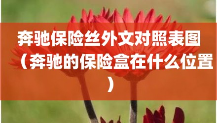 奔驰保险丝外文对照表图（奔驰的保险盒在什么位置）