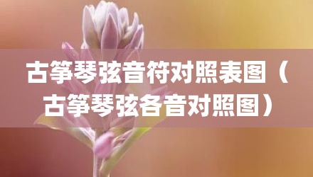 古筝琴弦音符对照表图（古筝琴弦各音对照图）