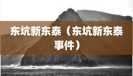 东坑新东泰（东坑新东泰事件）