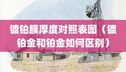 镀铂膜厚度对照表图（镀铂金和铂金如何区别）
