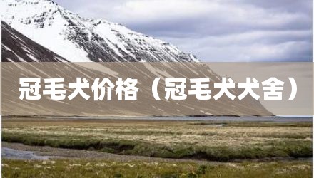 冠毛犬价格（冠毛犬犬舍）