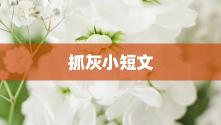抓灰小短文