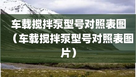 车载搅拌泵型号对照表图（车载搅拌泵型号对照表图片）