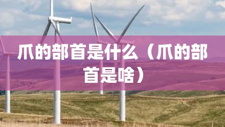 爪的部首是什么（爪的部首是啥）